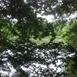 Blick auf Teich der Boldixumer Vogelkoje