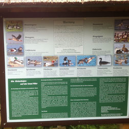 Info-Tafel in Boldixumer Vogelkoje
